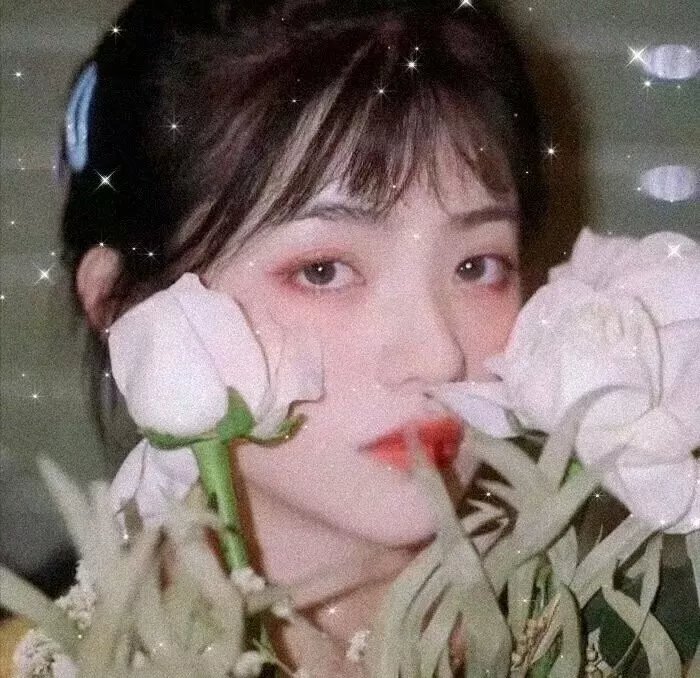 花花女公子